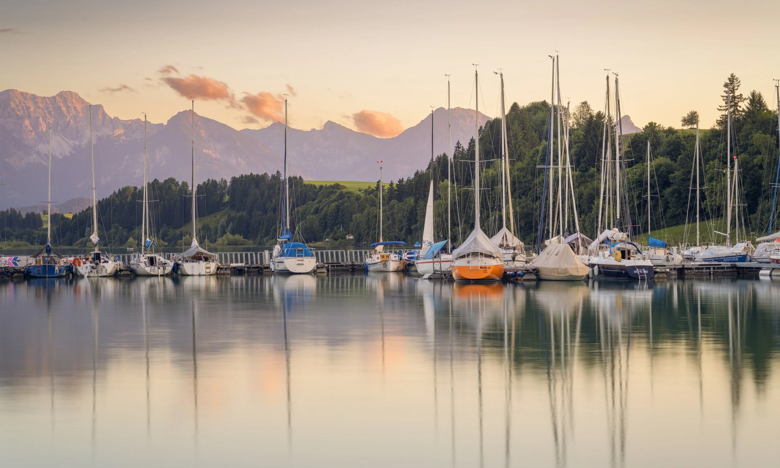 _ACR5497-DxO_DeepPRIME XD2s_XD.jpg