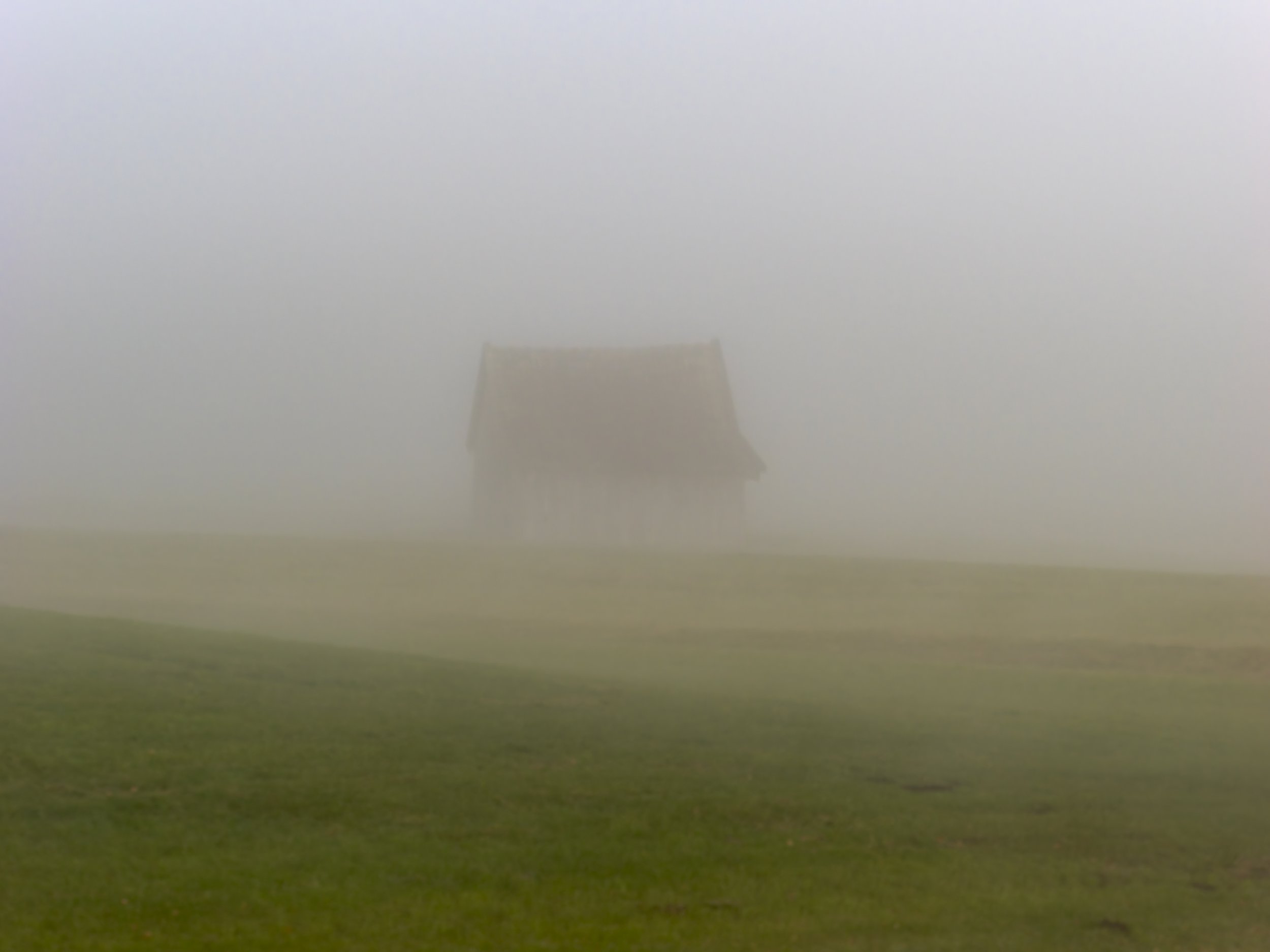 _B082702-DxO_DeepPRIME XD2s_XD.jpg