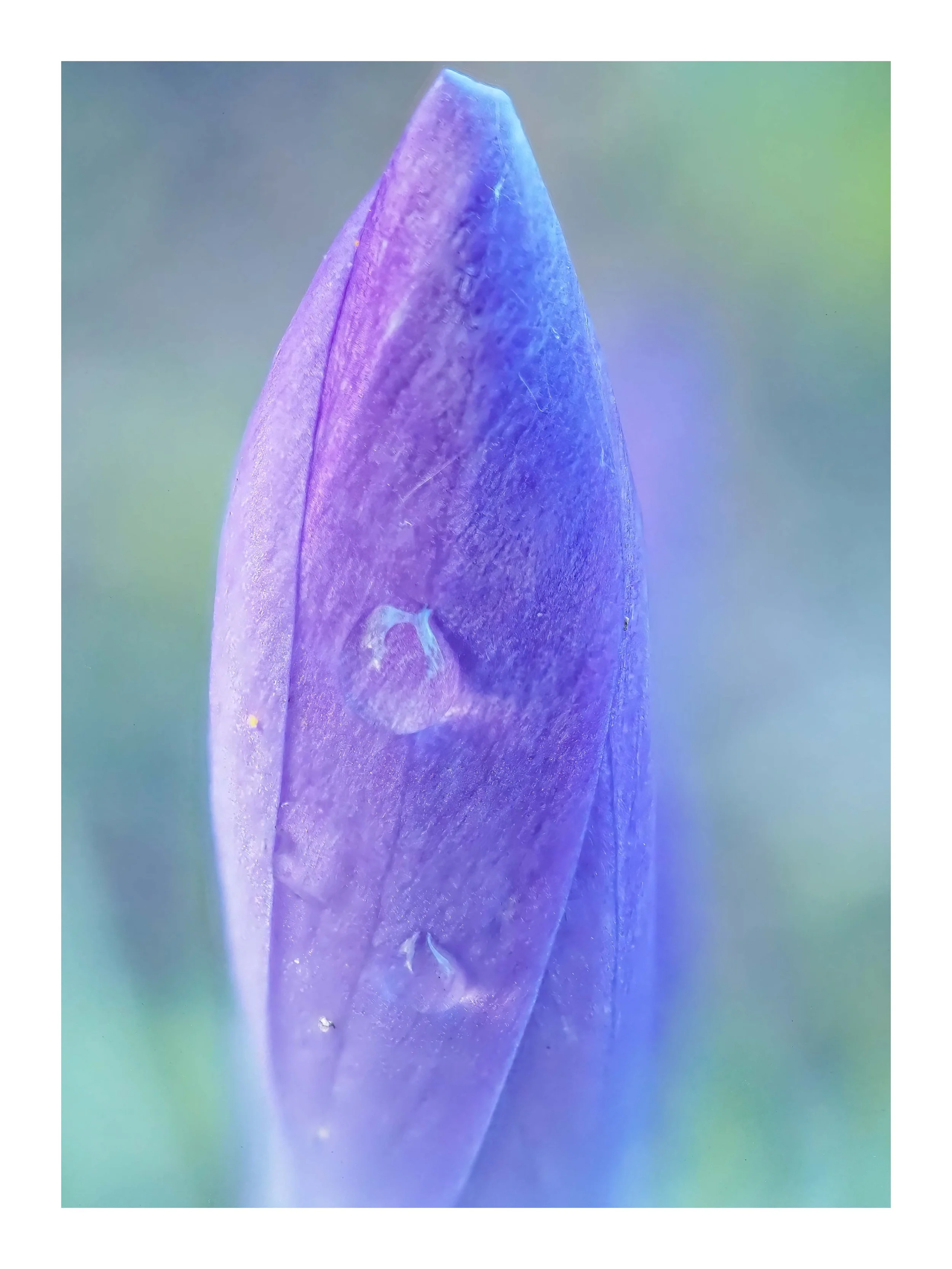 P2250446-Edit-Edit.jpg