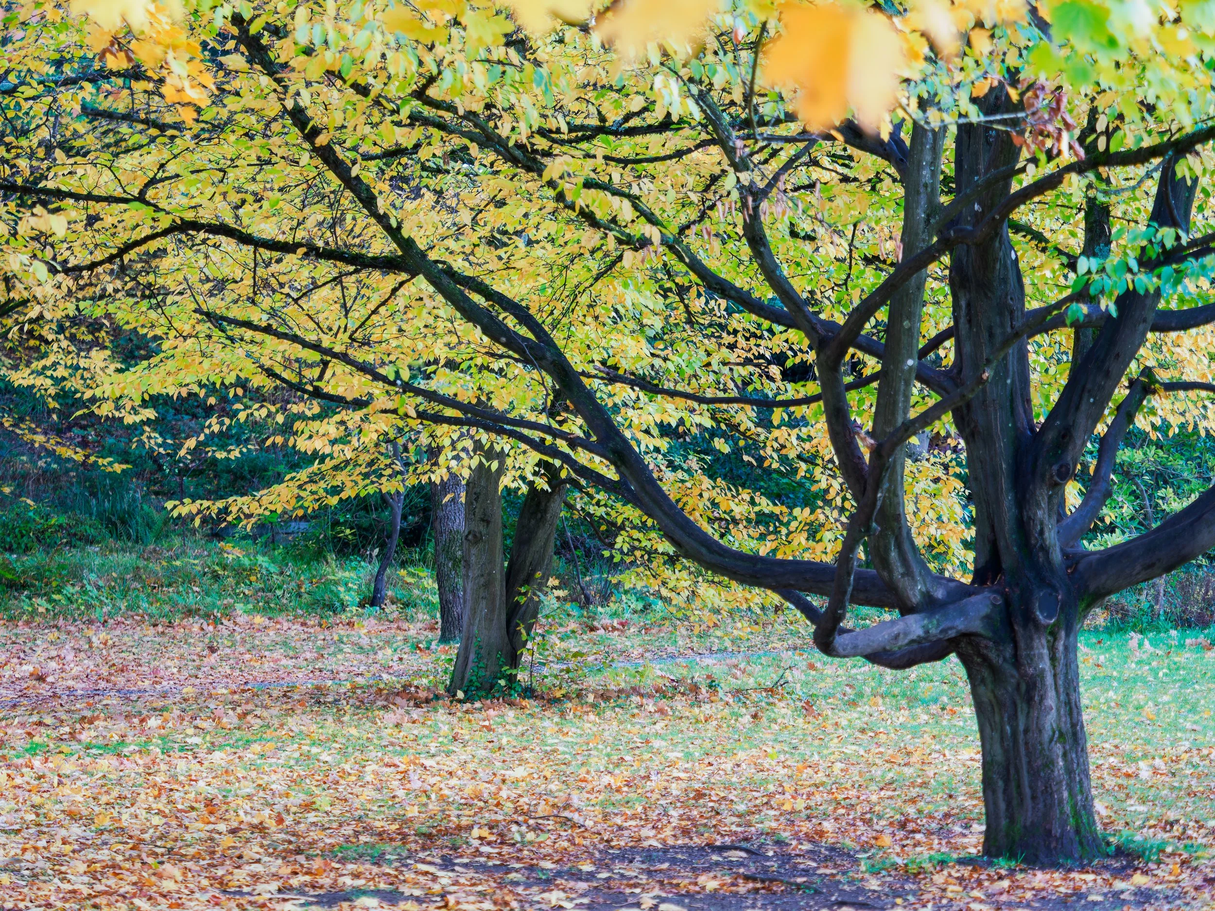 _A242286-DxO_DeepPRIME XD2s_XD.jpg