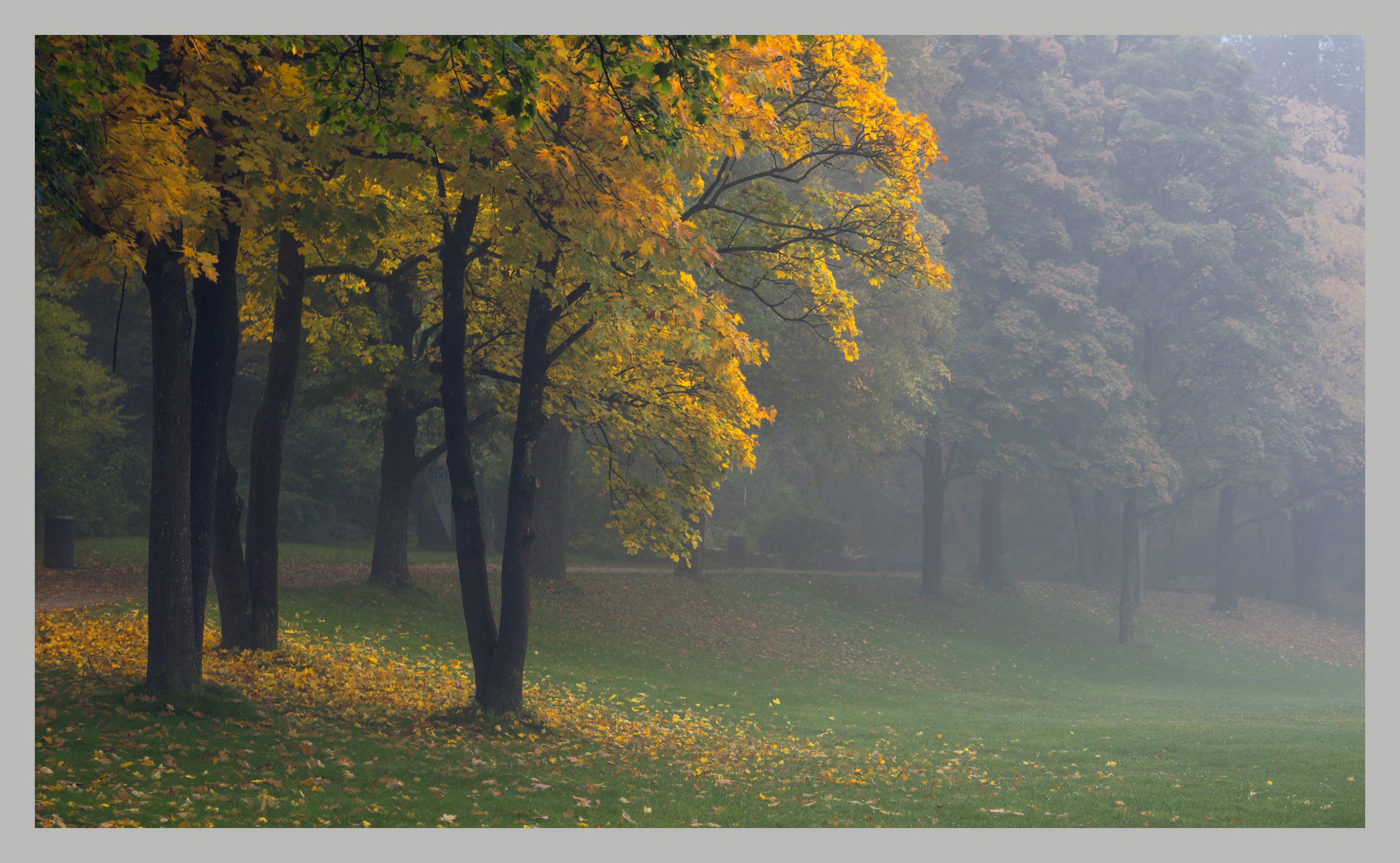 _A160989-DxOn_DeepPRIME XD2s_XD.jpg