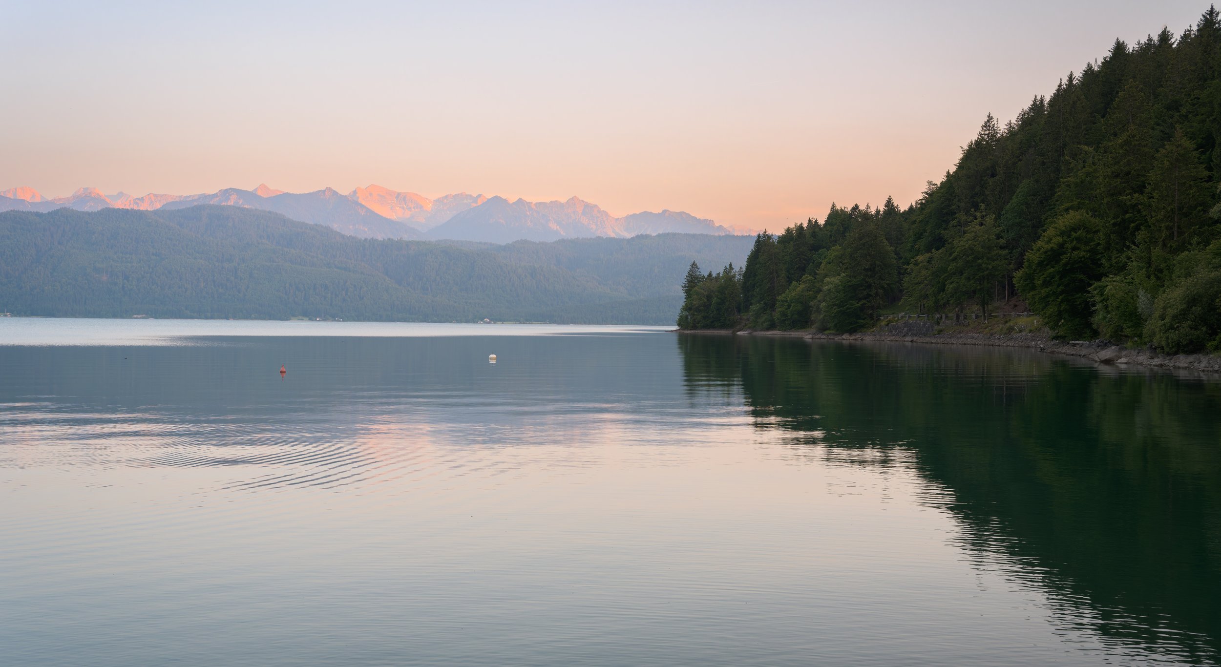 _ACR4709-DxO_DeepPRIME XD2s_XD-3.jpg