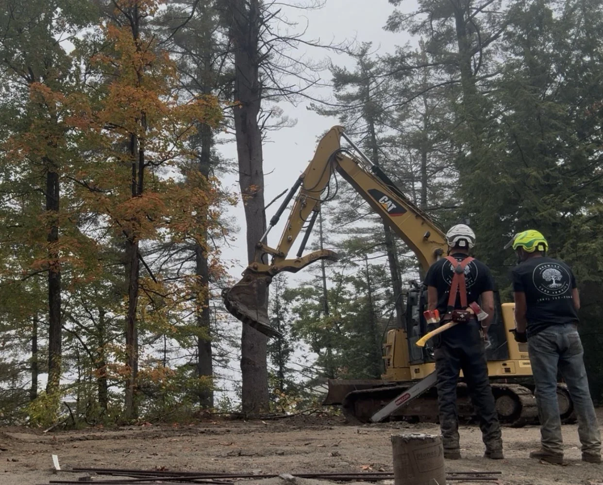 Two workers with helmets operating a yellow CAT excavator to cut down a tall tree in a forest during overcast weather.