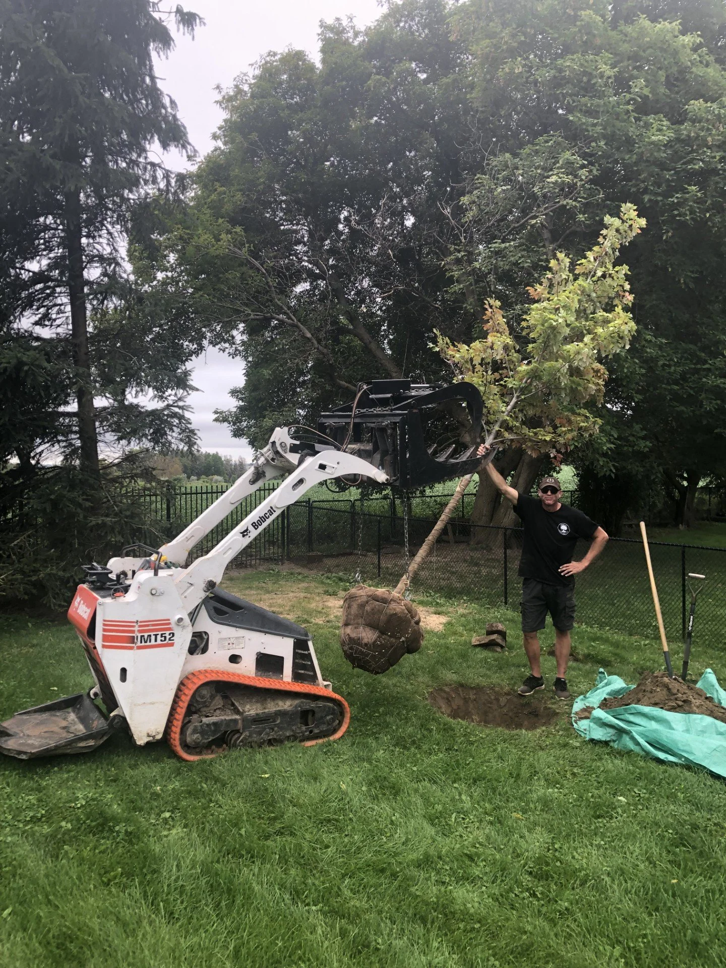 A person standing next to a small excavator with a tree and a large root ball attached to the machine in a fenced backyard, possibly planting the tree.