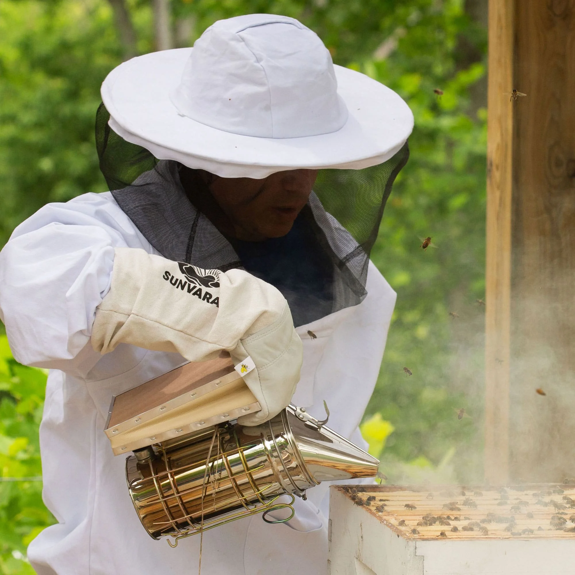 beekeeping.jpg
