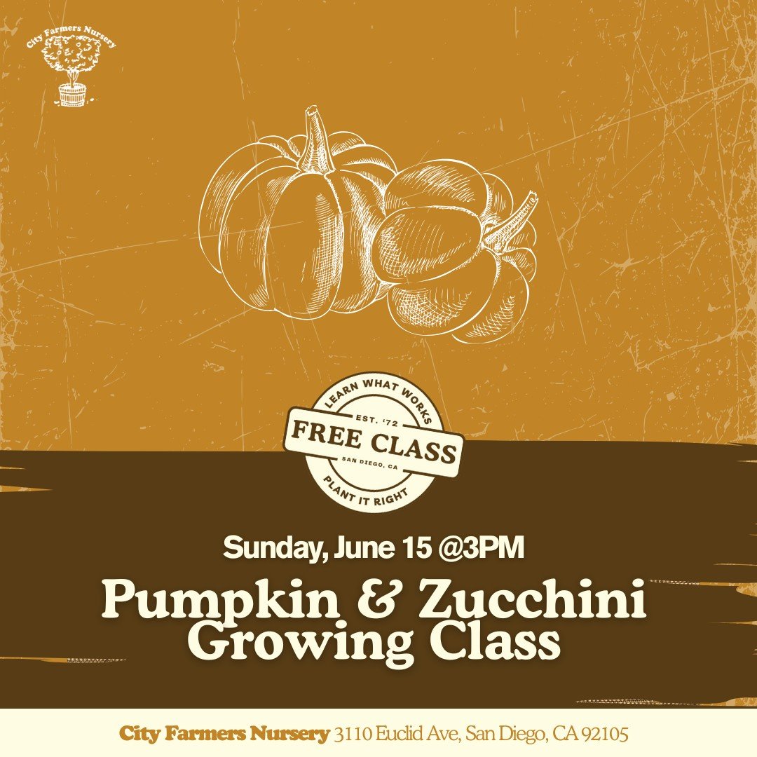 This Sunday's Free Pumpkin &amp; Zucchini Growing Class
3:00p in our open-air canyon classroom!

Get ready for fall harvests! In our Pumpkin &amp; Zucchini Growing class, you'll learn the basics of planting, spacing, and caring for these prolific cro