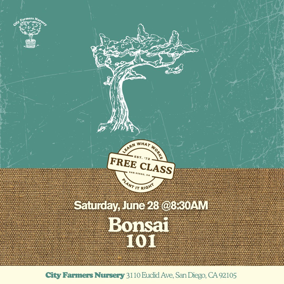 This Saturday's Free Bonsai 101 Class
8:30a in our open-air canyon classroom!

Start your bonsai journey the right way! In our Bonsai 101 class, you'll learn the basics of selecting beginner-friendly plants, choosing containers, and essential care te