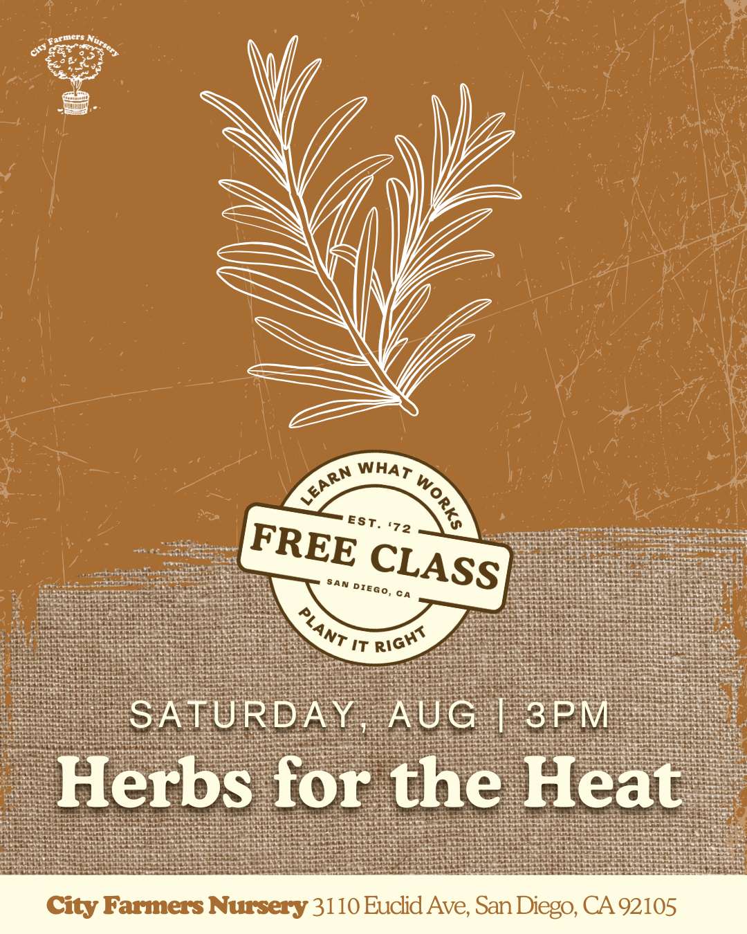 Herbs for the Heat: Cooling Plants & Summer Remedies 🌿🔥