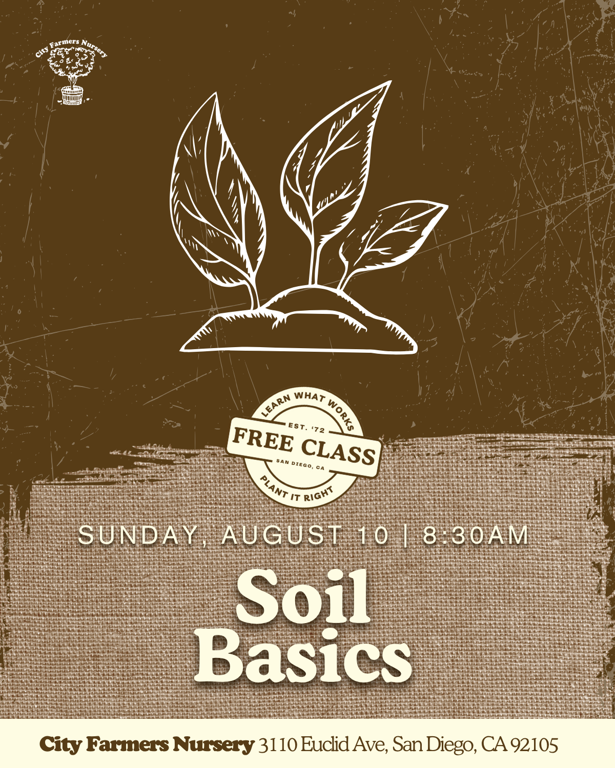 Soil Basics 🌱🌾