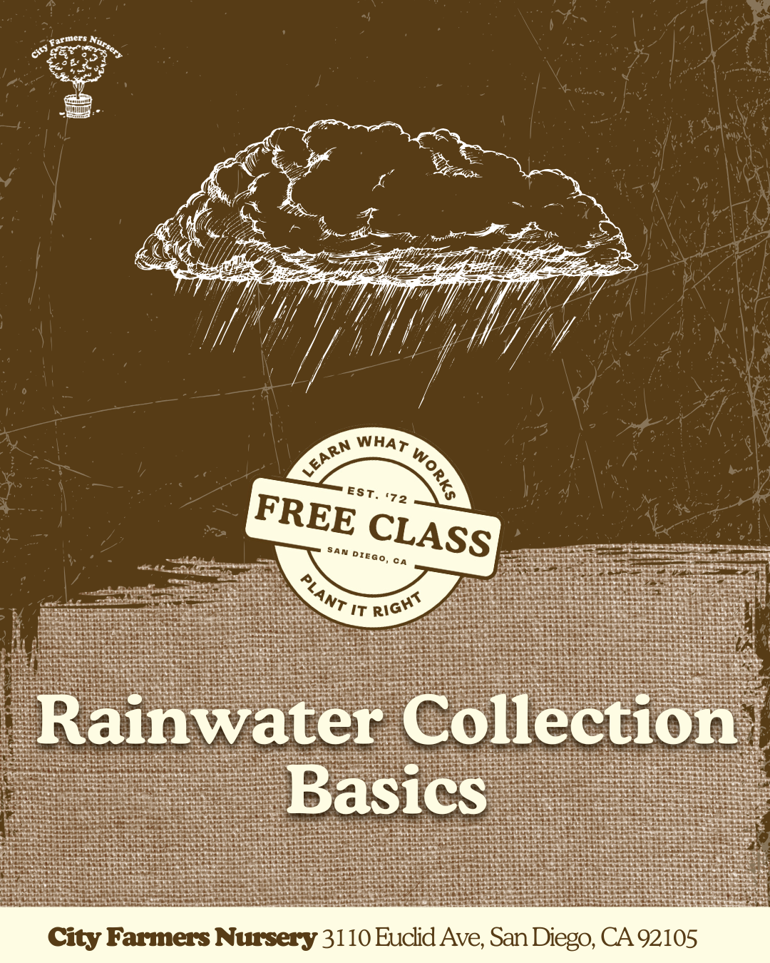 Rainwater Collection Basics