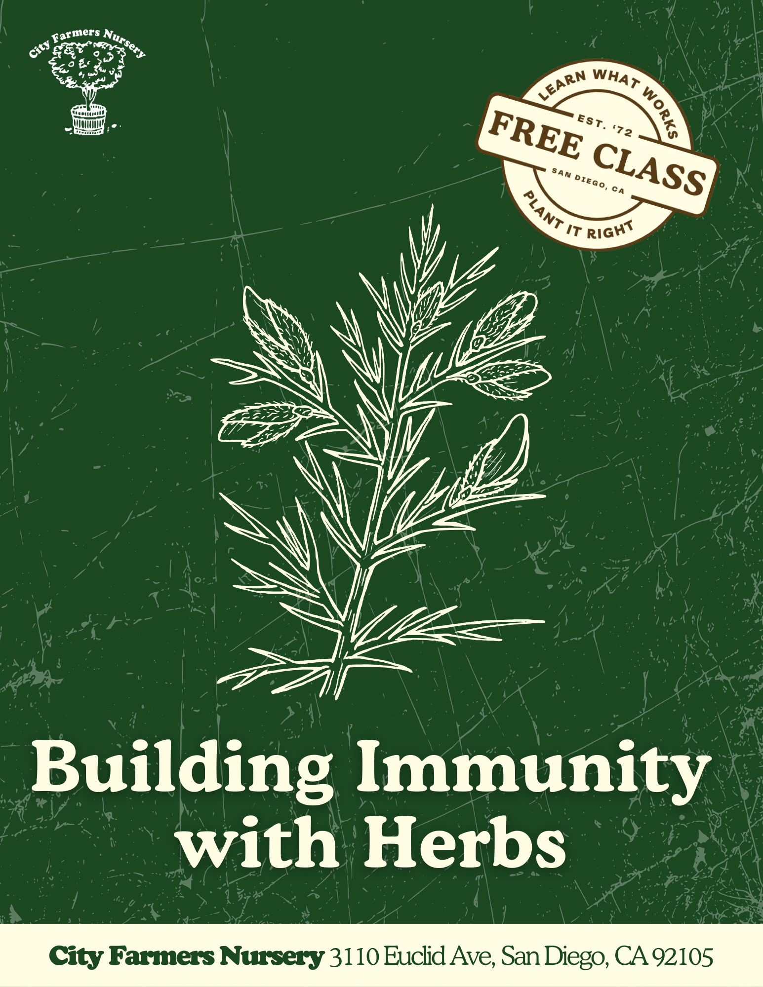 Building Immunity with Herbs 🌿🔥