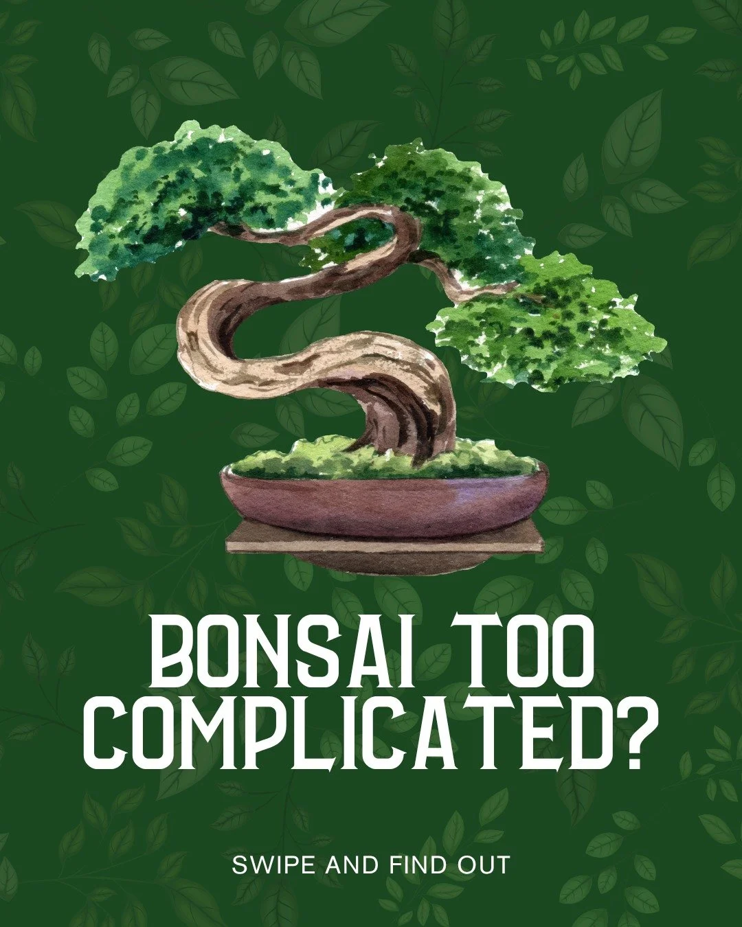 So you're curious about bonsai but worried it's too complicated? Let me share what we tell everyone who stops by our bonsai table at City Farmers.

The truth is, bonsai is more forgiving than you might expect. After helping hundreds of beginners get 