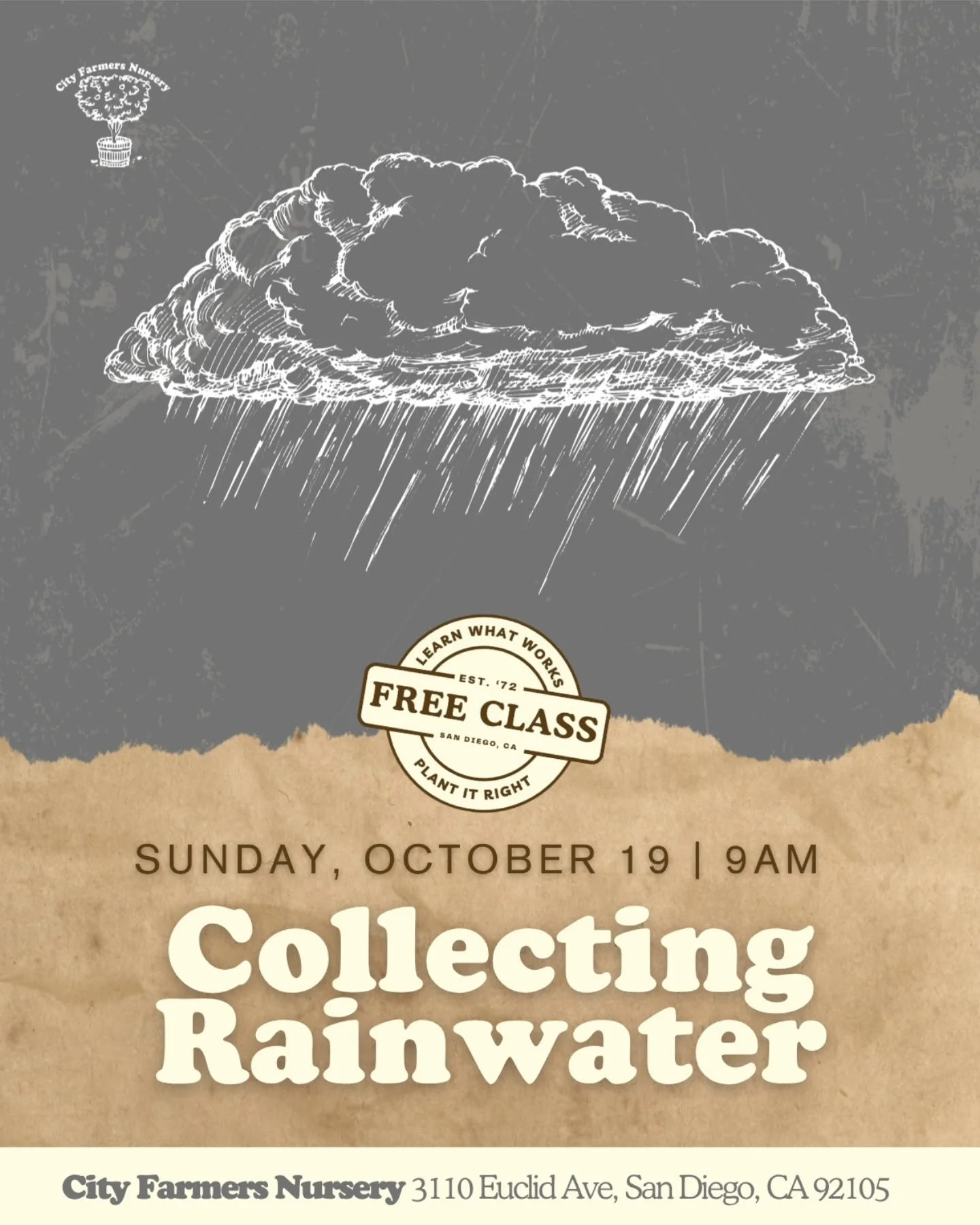 Rainwater Collection 💧🌦️
Sunday, October 19, 2025
9:00 AM  10:00 AM

Make the most of every drop! Learn how to set up rainwater collection systems for your garden, including legalities, storage, and usage tips. 

Rainwater harvesting helps conserve