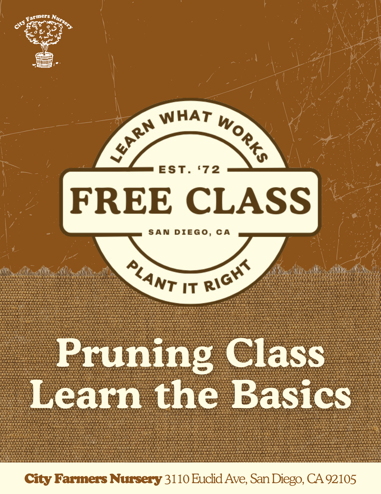 Pruning Basics