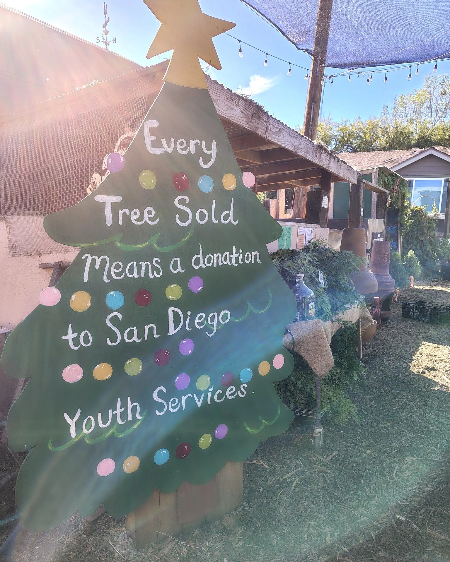 OPEN TUESDAYS 11a-7p for Holiday Shopping
Your holiday shopping does double duty this year. 🎄💚

Throughout the season, 4% of holiday tree purchases at City Farmers go directly to San Diego Youth Services&mdash;supporting local youth in crisis with 