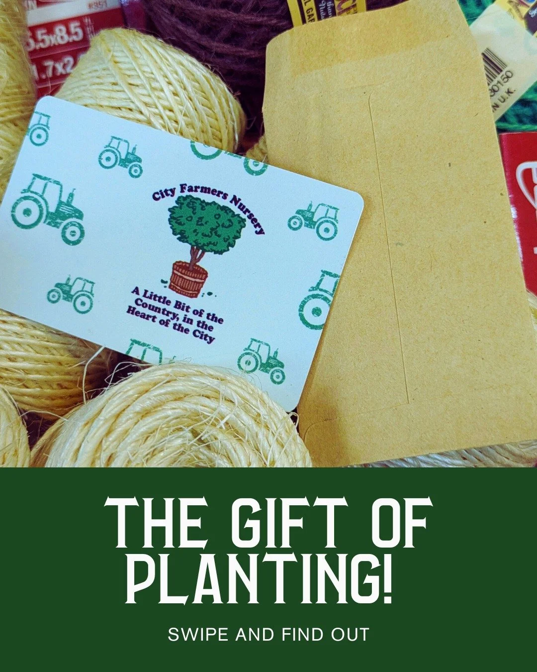 There's something special about City Farmers after the sun goes down. 🌲

The lights come on, the air gets crisp, and suddenly our nursery feels like the coziest corner of San Diego. Stop by to sip hot cocoa, find your perfect Christmas tree, snap a 