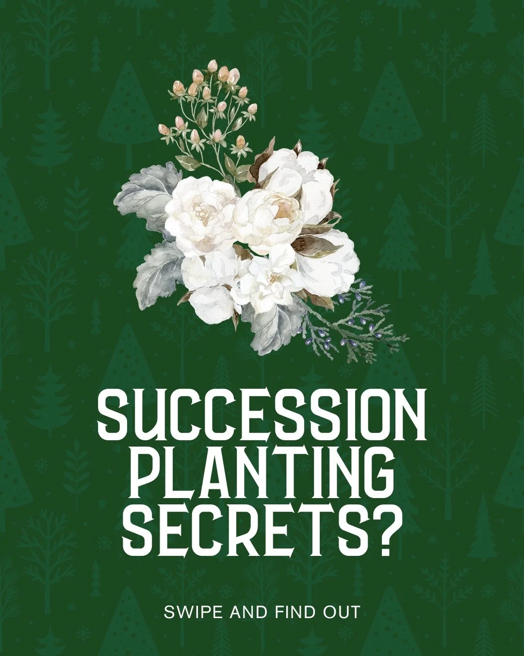 Want fresh greens all winter without the feast-or-famine cycle? 🥬

Succession planting keeps your harvest flowing steadily instead of overwhelming you all at once.

The secret is in your seed packet, those 50 seeds aren't meant to go in the ground t