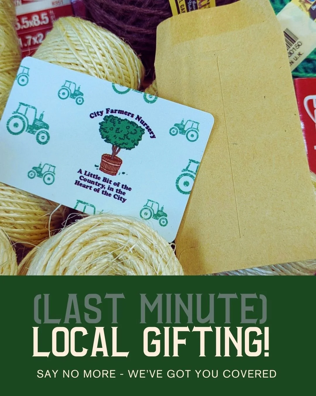 We're open Wednesday 9a-2p for your last-minute gifting, surrounded by greenery and goodness.

We've made a quick gifting guide with items $30 and under that are still in stock.

Instant gift cards are also a popular option - you can both email them 
