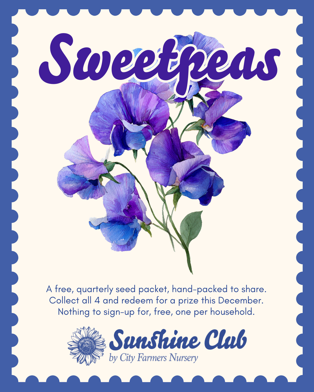 Sunshine Club #1 - Sweetpeas