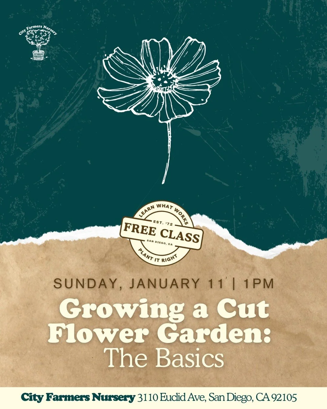 Want to fill your home with fresh blooms year-round without the grocery store markup?

Growing a cut flower garden in San Diego is a fun endeavor! Join us January 11th at 1pm for a hands-on class with Rachel Nafis from Psalter Farm Flowers.

Rachel's