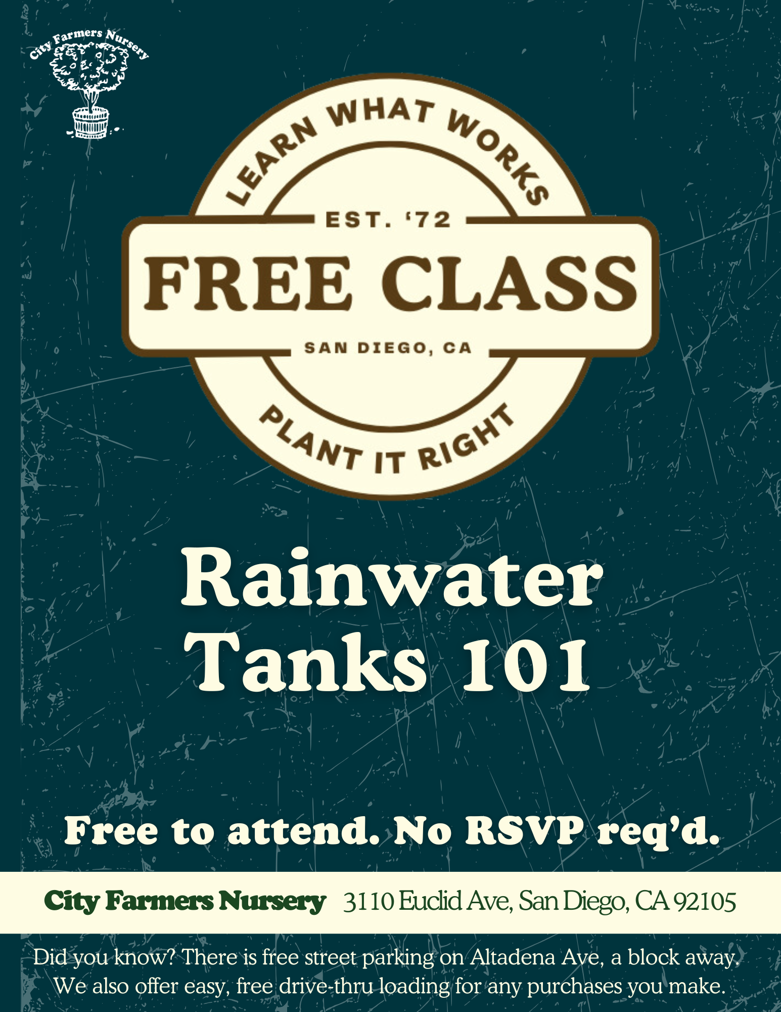 Rainwater Tanks 101 💧🌦️
