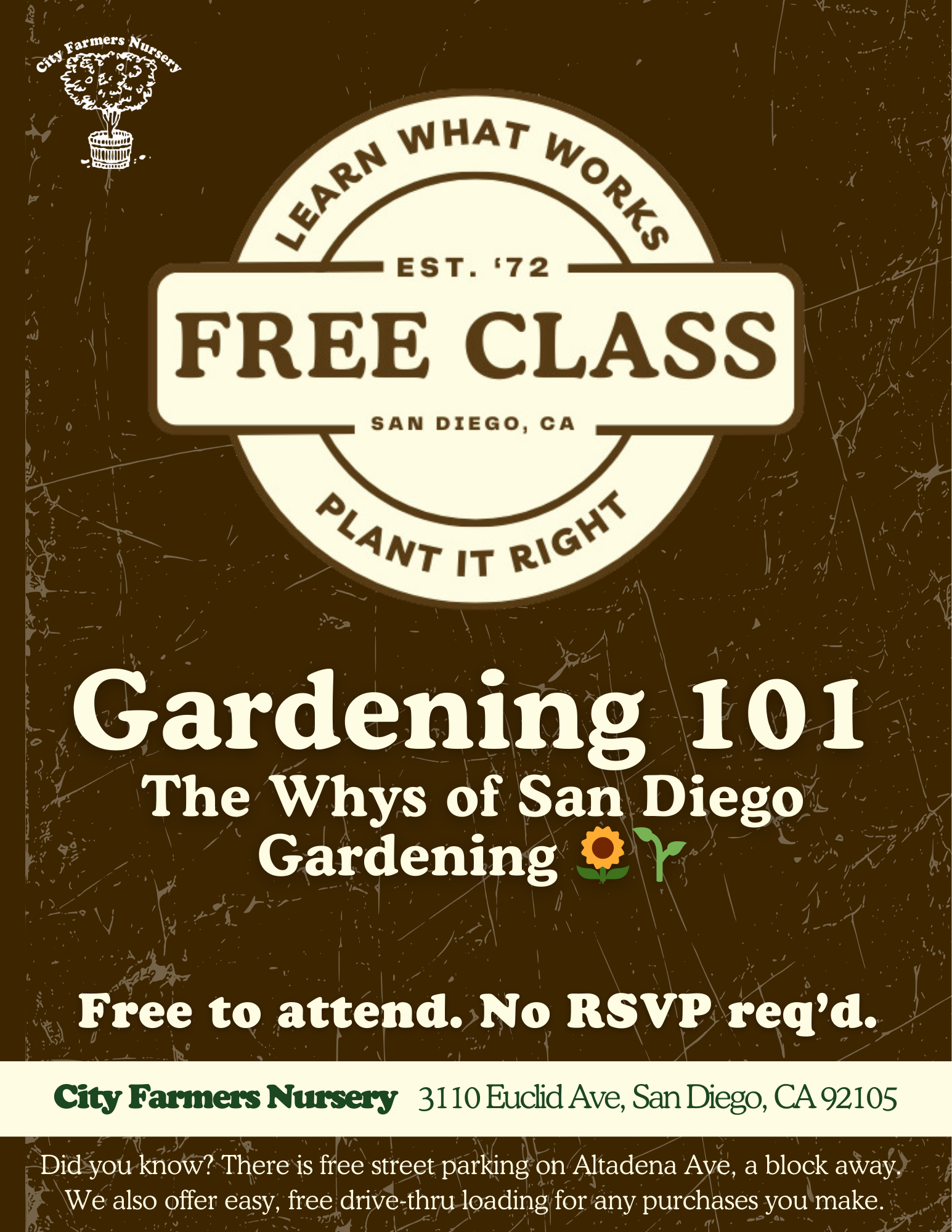 Gardening 101: The Whys of San Diego Gardening 🌻🌱