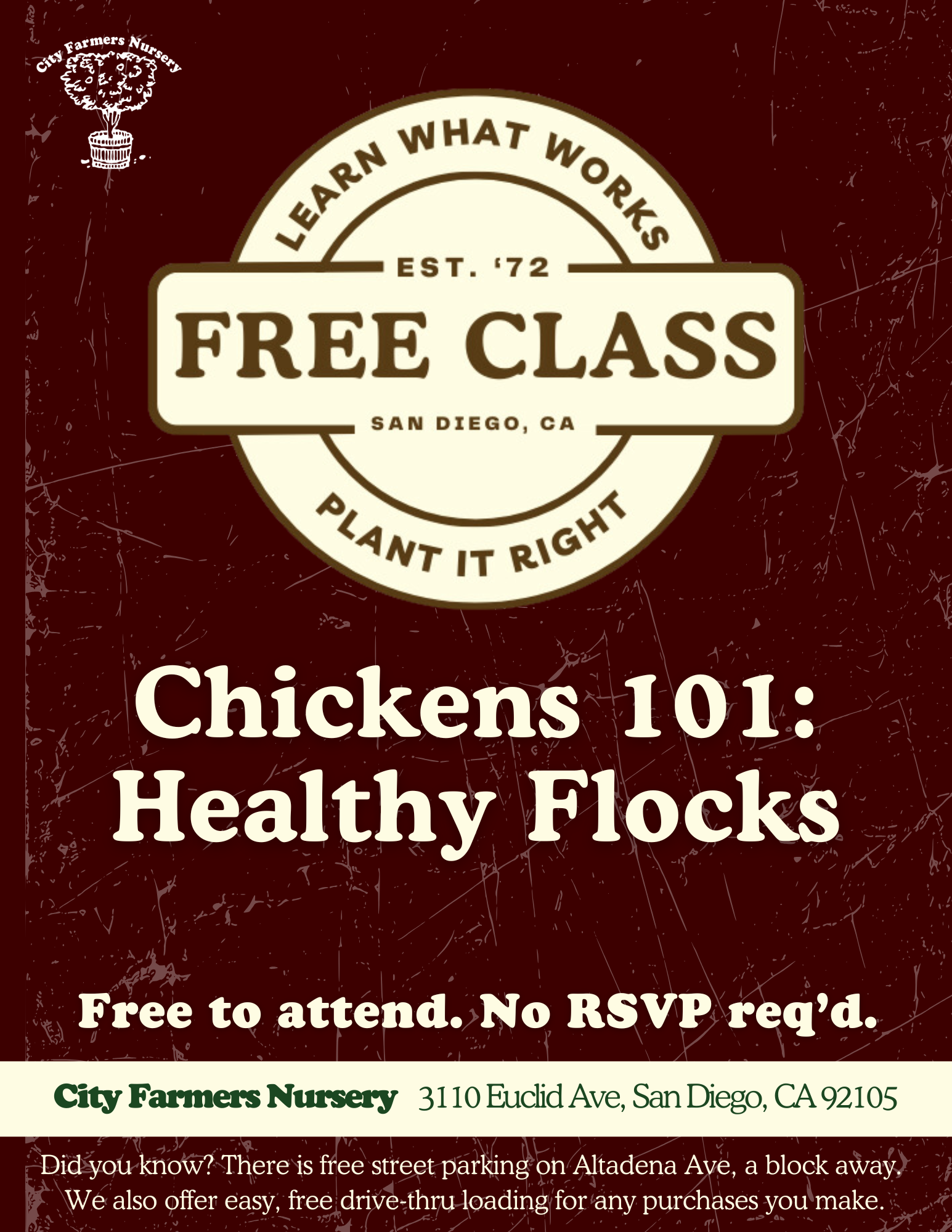 Chickens 101 🐔🥚