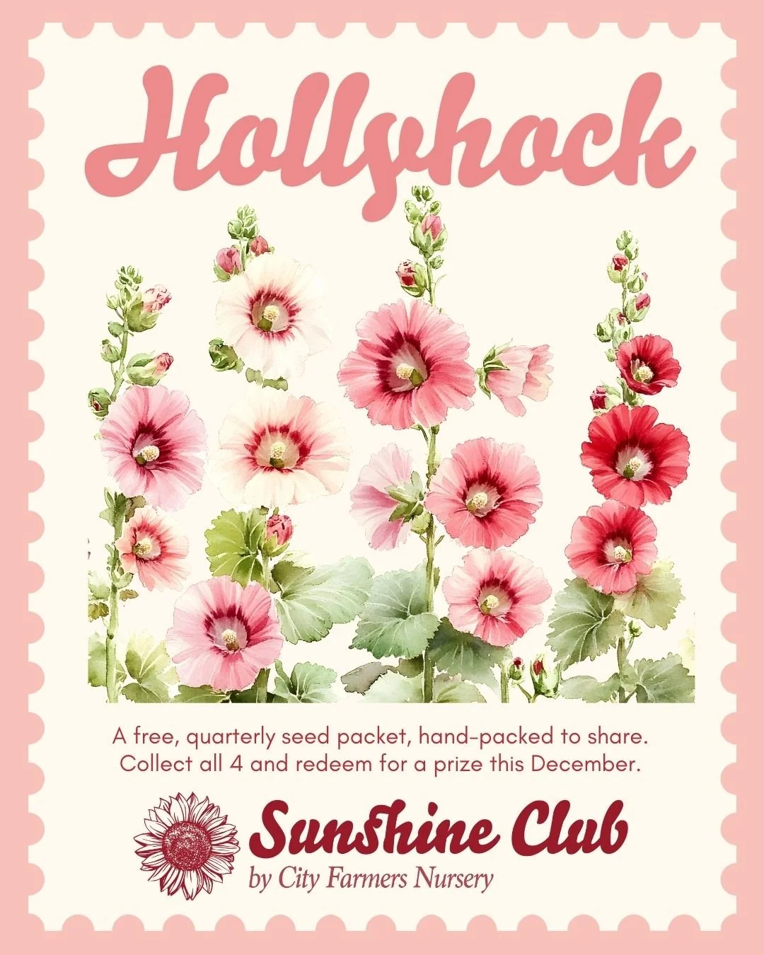 Sunshine Club #4 - Hollyhocks