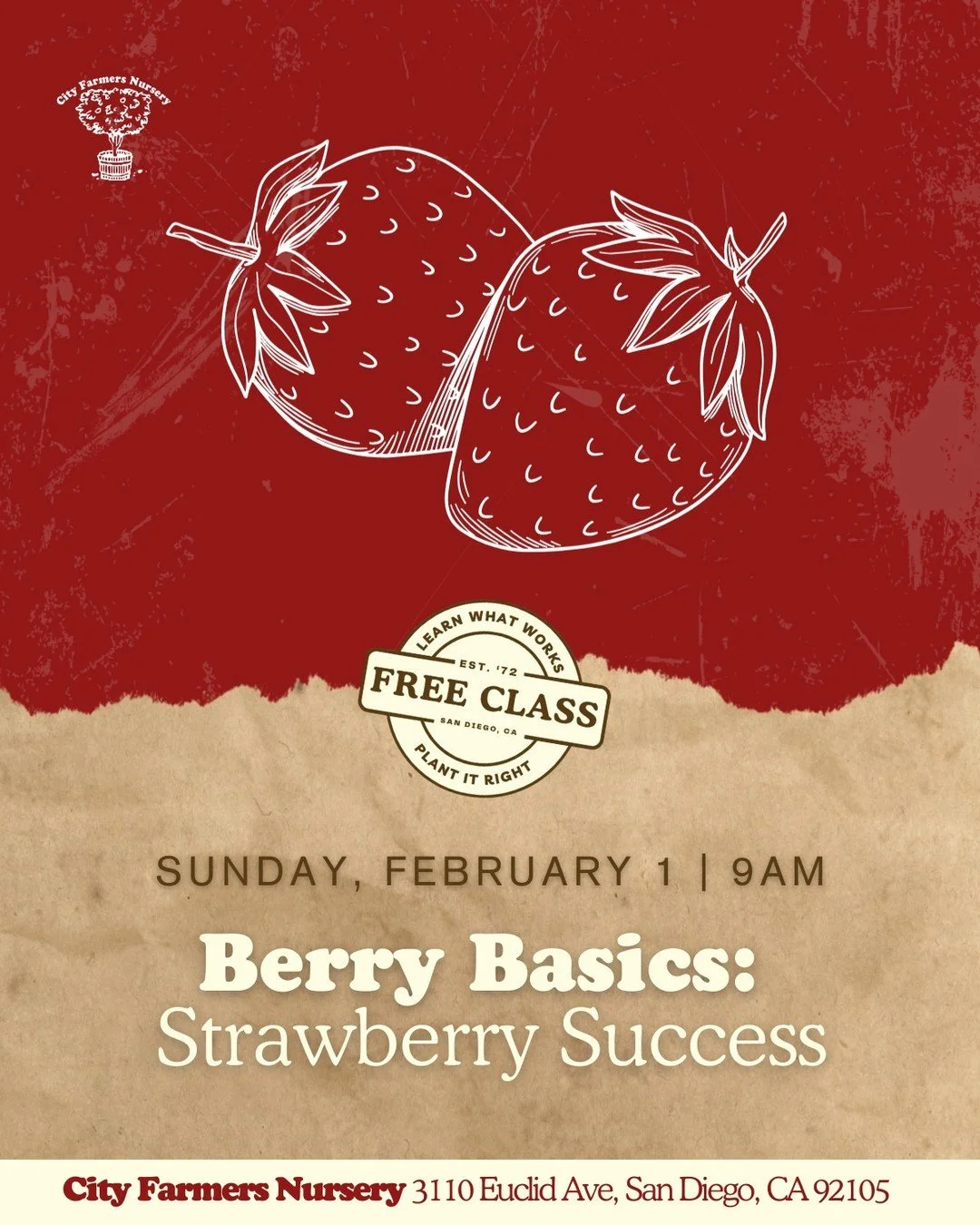 Why buy tasteless grocery store strawberries when you could be picking sun-warmed berries from your own patio?

San Diego is strawberry paradise, and we're showing you how to make the most of it on February 1st at 9am.

Strawberries are surprisingly 