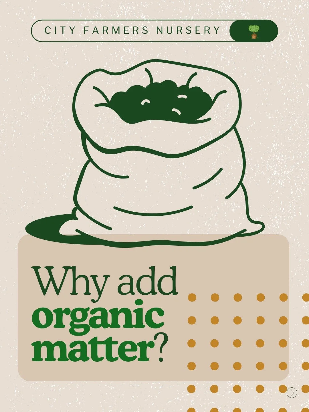 Think composting means dealing with stinky, fly-covered piles? That's exactly why most people avoid it!

Here's the truth: organic matter is just life for your soil. Without it, even bagged soil from the store eventually becomes lifeless dirt that st