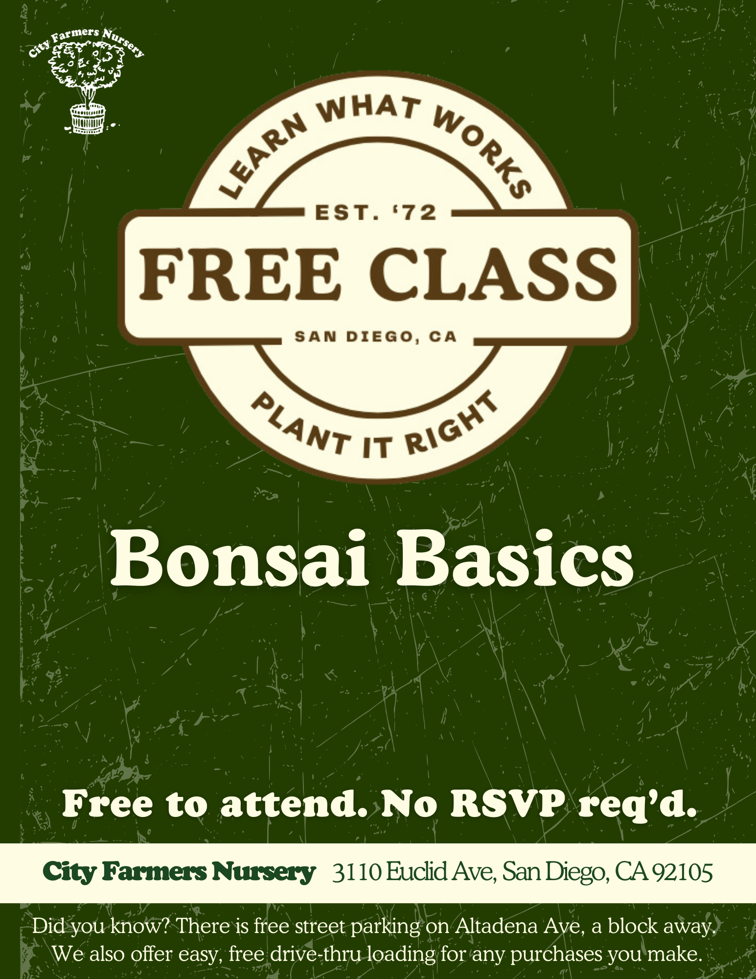 Bonsai Basics 🌳✂️