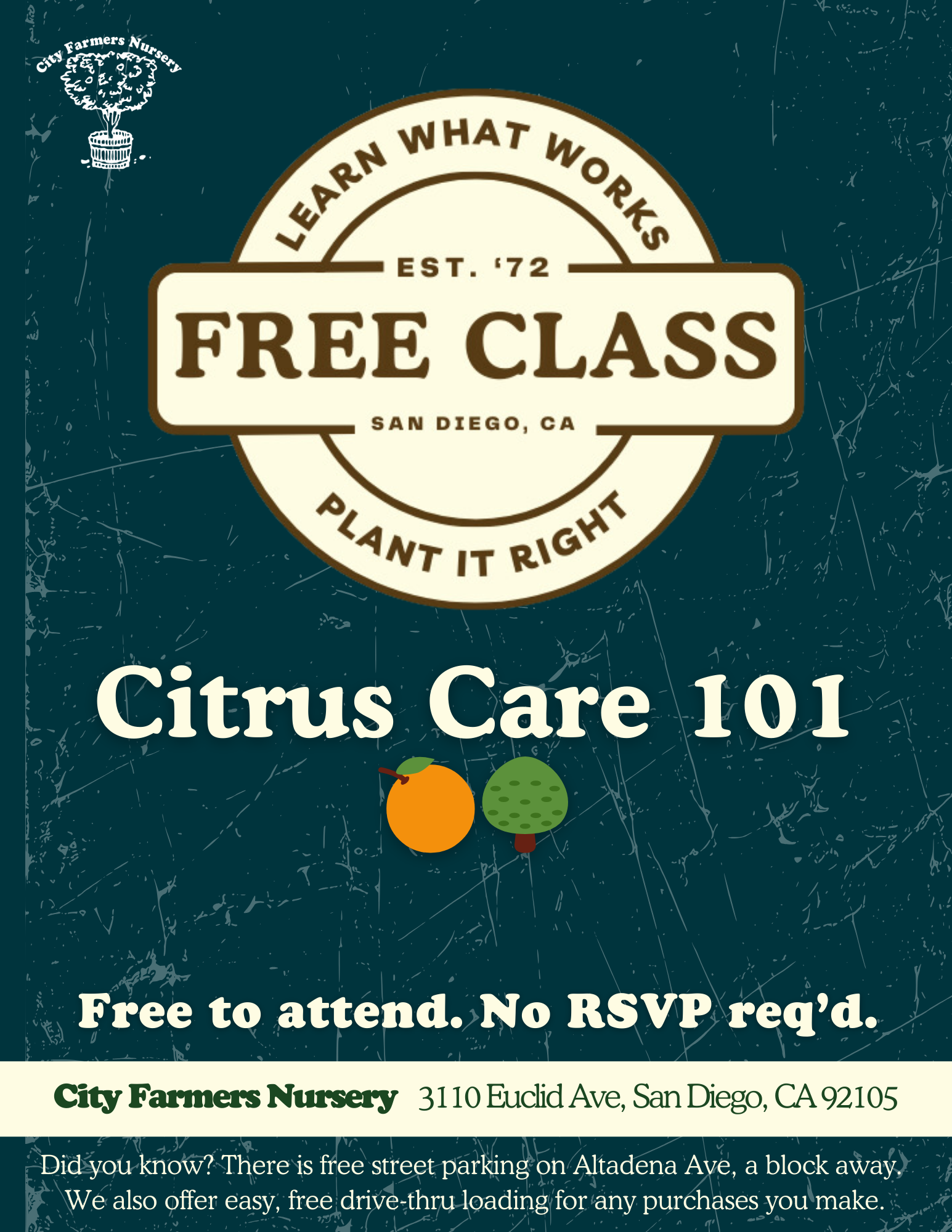 Citrus Care 101 🍊🌳