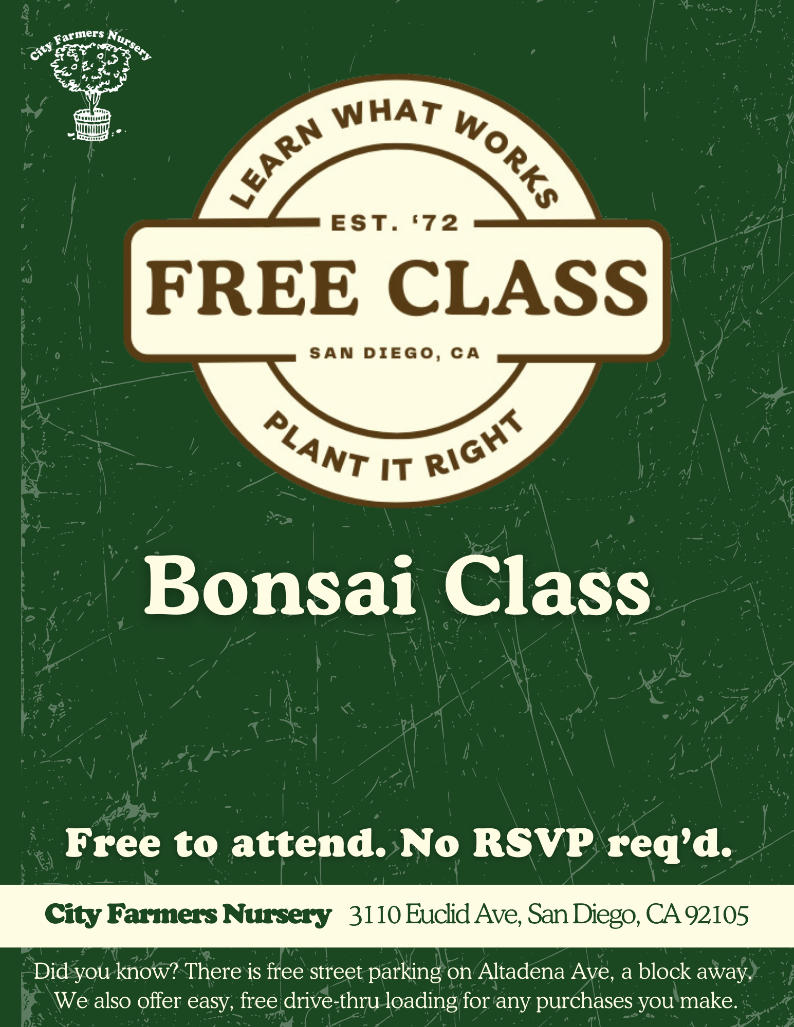 Bonsai Class 🌳✂️