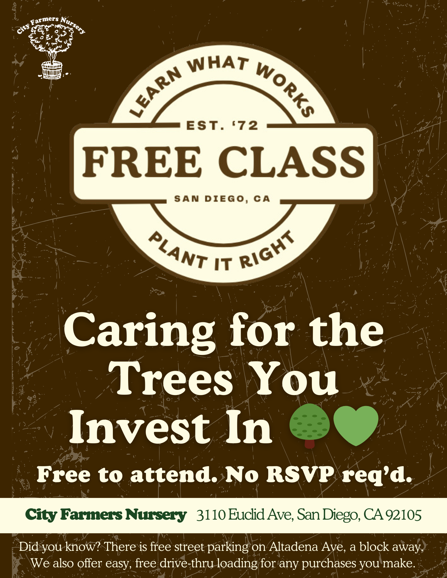 Caring for the Trees You Invest In 🌳💚