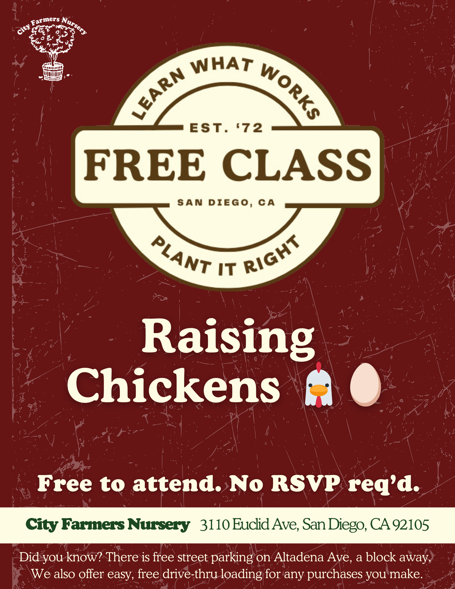  Raising Chickens 🐔🥚