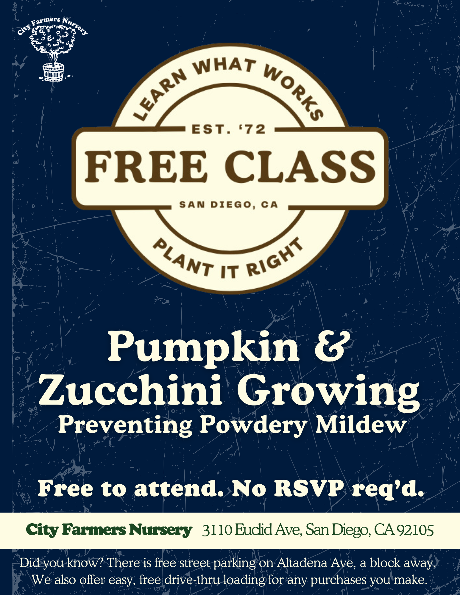 Pumpkin & Zucchini Growing & Preventing Powdery Mildew 🎃🥒