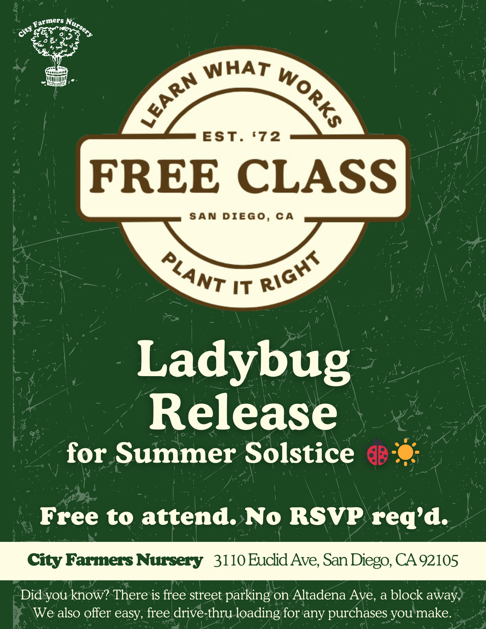 Ladybug Release for Summer Solstice 🐞☀️