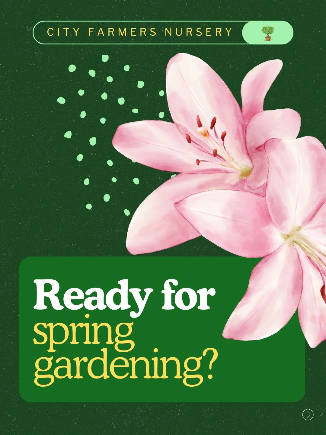 San Diego can grow just about anything, so where do you even start? 🌿

That's exactly why we offer free gardening classes right here at the nursery, year-round. This spring, come learn from some of the most knowledgeable growers in San Diego. We kee