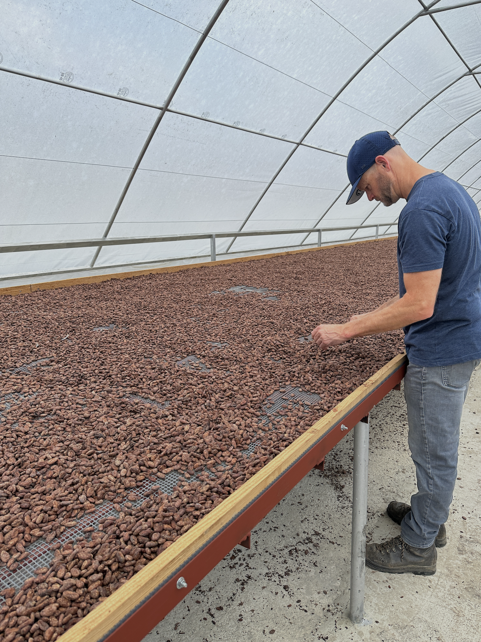 How Chocolate is Made 🍫