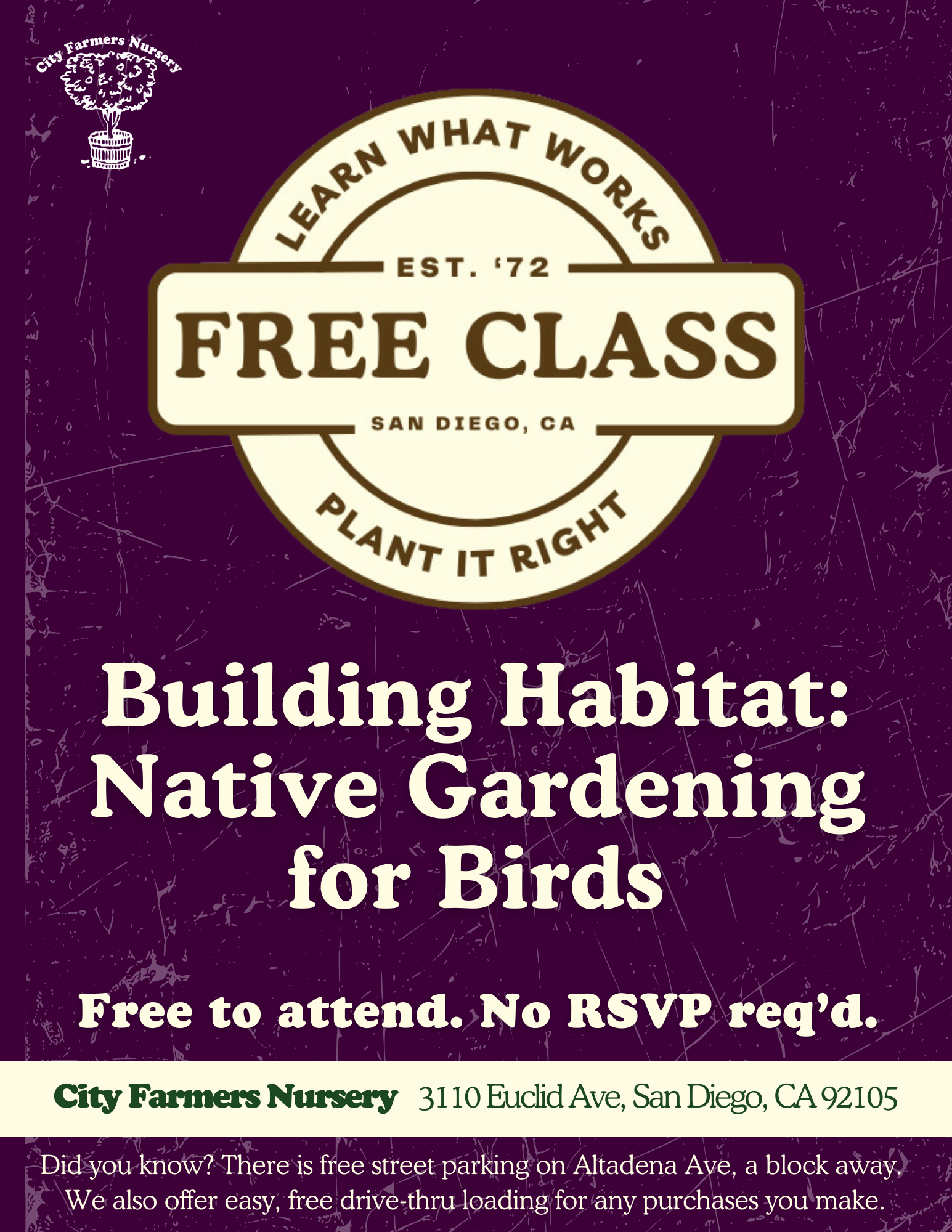 Building Habitat: Native Gardening for Birds 🐦 🪹