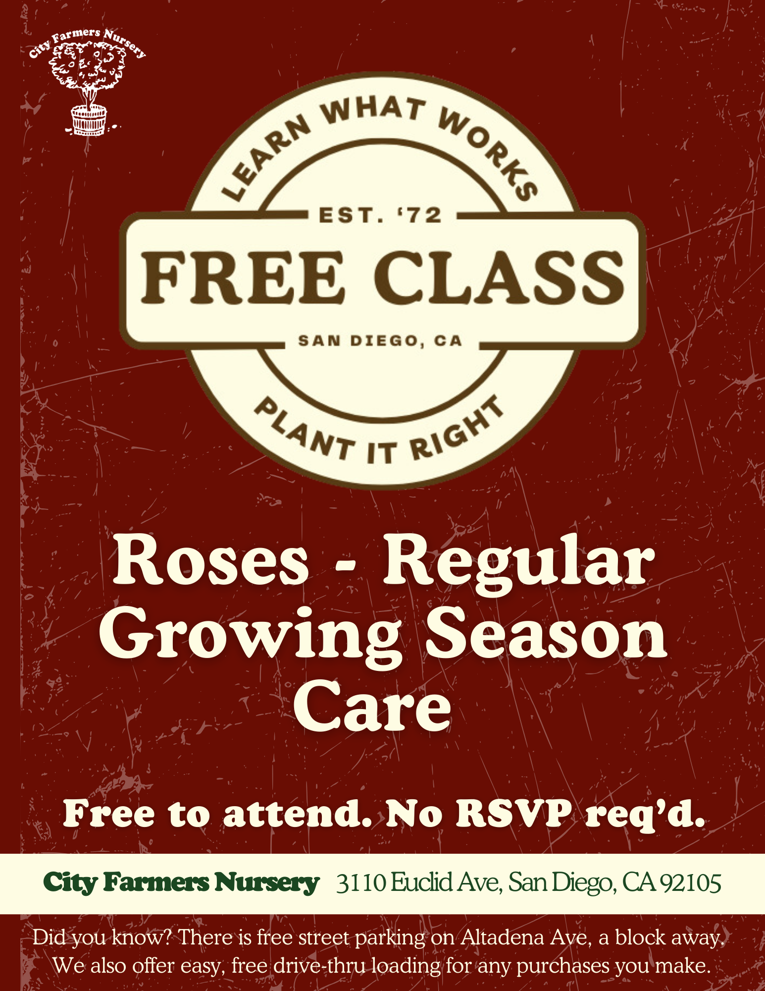 Roses - Regular Growing Season Care 🌹