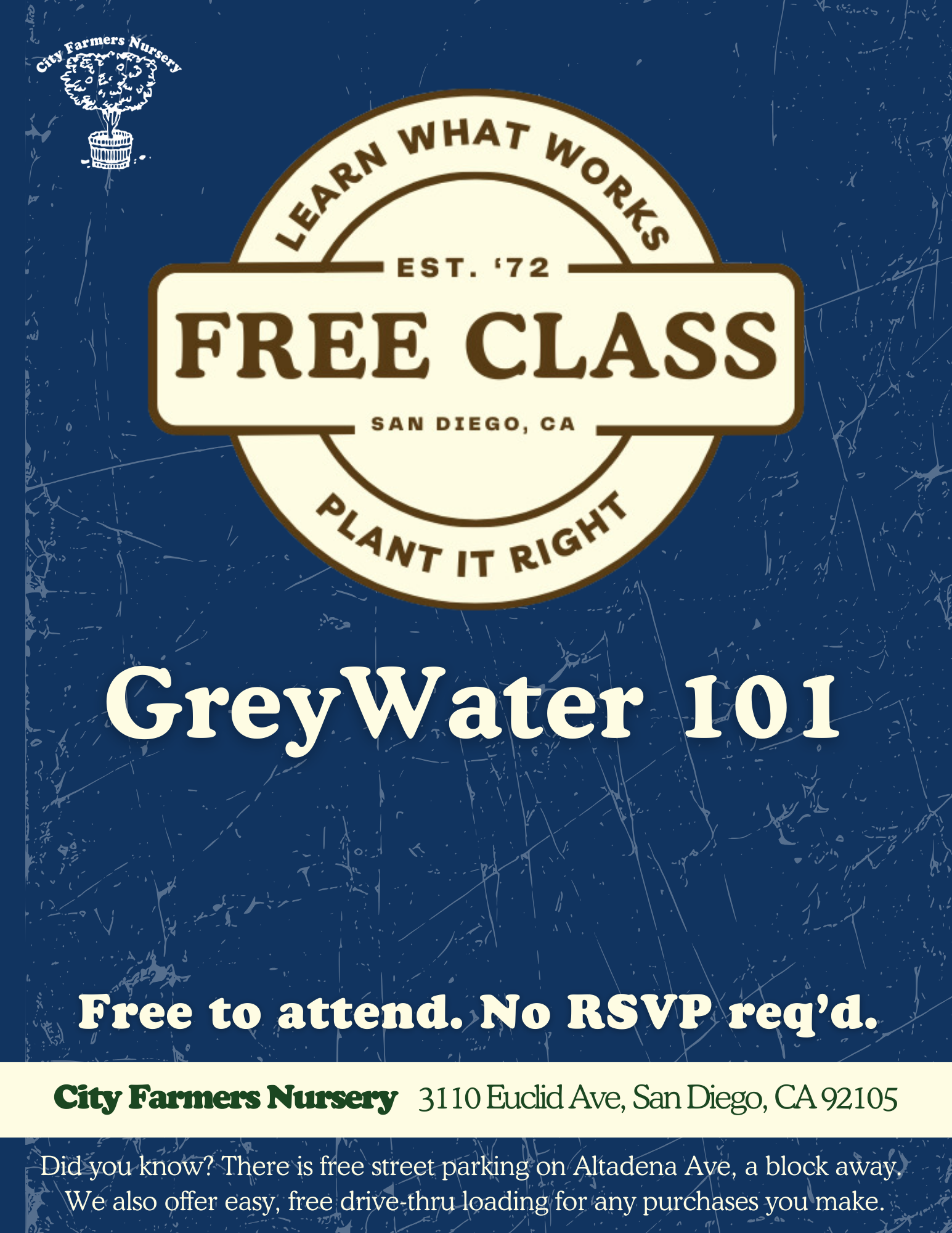 Greywater 101: Get a second use out of your laundry water or shower water and grow more stuff 💧