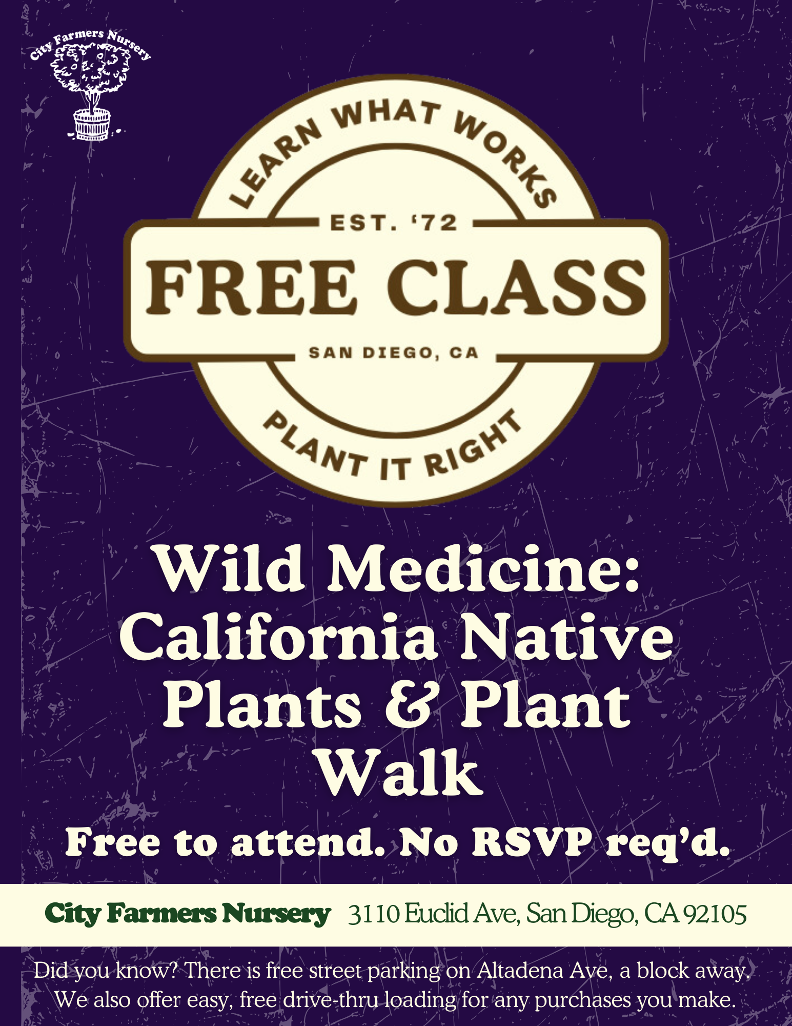 Wild Medicine: California Native Plants &amp; Plant Walk 🌱👣