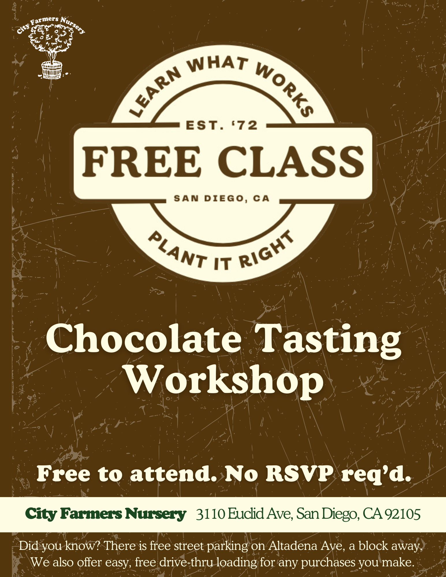 Chocolate Tasting Workshop 🍫