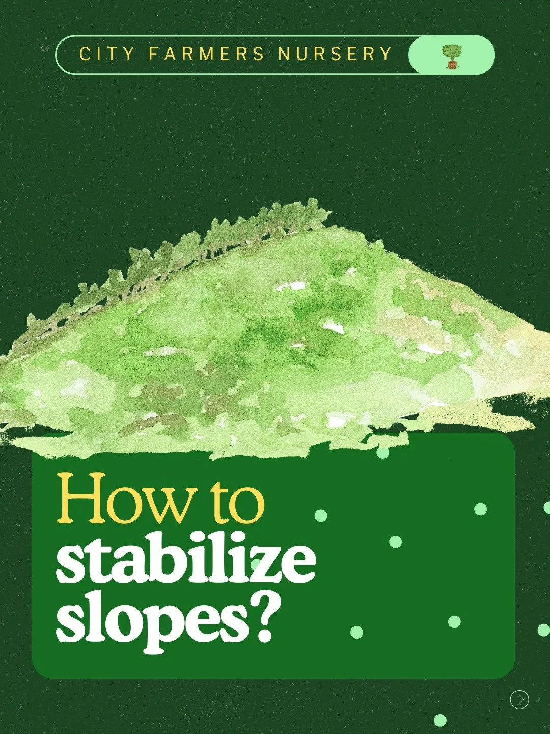 What do you do with a hillside so steep it's practically a wall?
You get creative. 🌱
At City Farmers, our hillsides are our best teaching tool. We've tried and tested:

Hardscaping with tires, wood, bricks, and reclaimed cement
Ground covers on seri