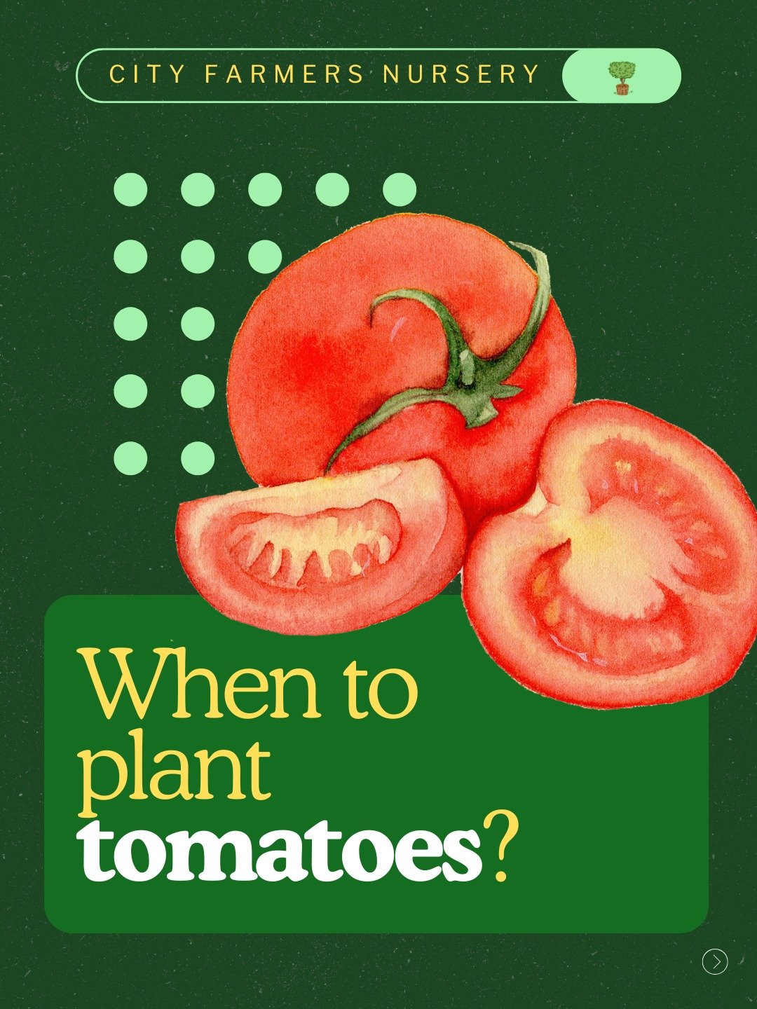 Ready to rip out the winter veggies and get to the fun stuff?

Not so fast. 😅

San Diego spring is exciting, but jumping in too early can set your tomatoes and peppers back before they even get started. Here's how to know when the timing is actually