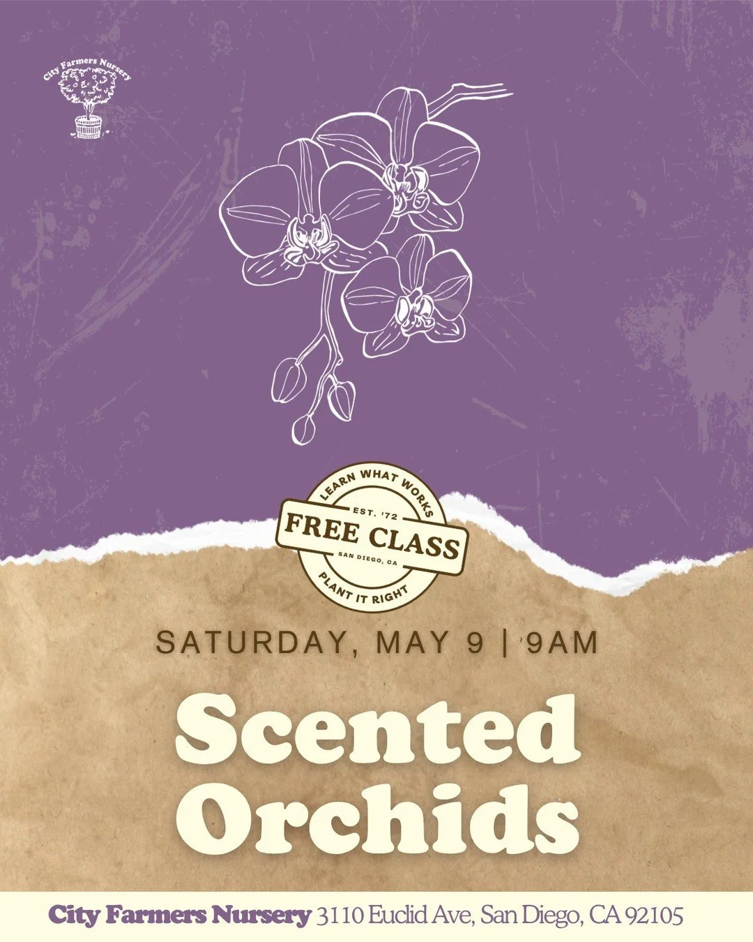 Orchids are way less intimidating than they look. We promise. 🪷

Come learn how to keep them thriving at our free Orchid Class on Saturday May 9th at 9am. We'll even be exploring scented orchids! 

Don't miss out - make a day of it with a stop at In