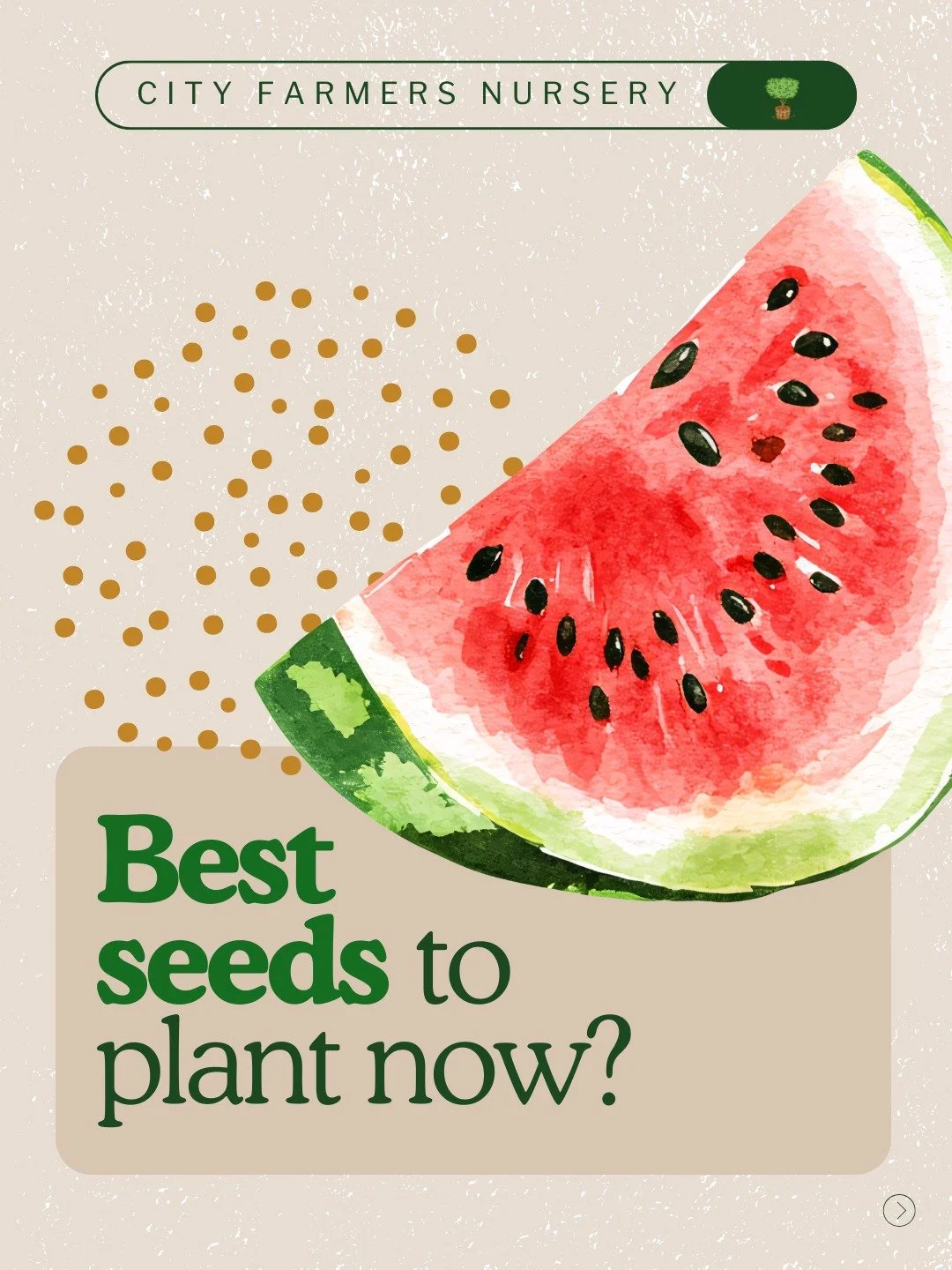 Late spring in San Diego means one thing: it's time to think big. 🌱

Not in a "go plant everything" way, in a big seeds way. As we head toward summer, larger seeds like beans, corn, and butternut squash are your best friends. 

They plant 