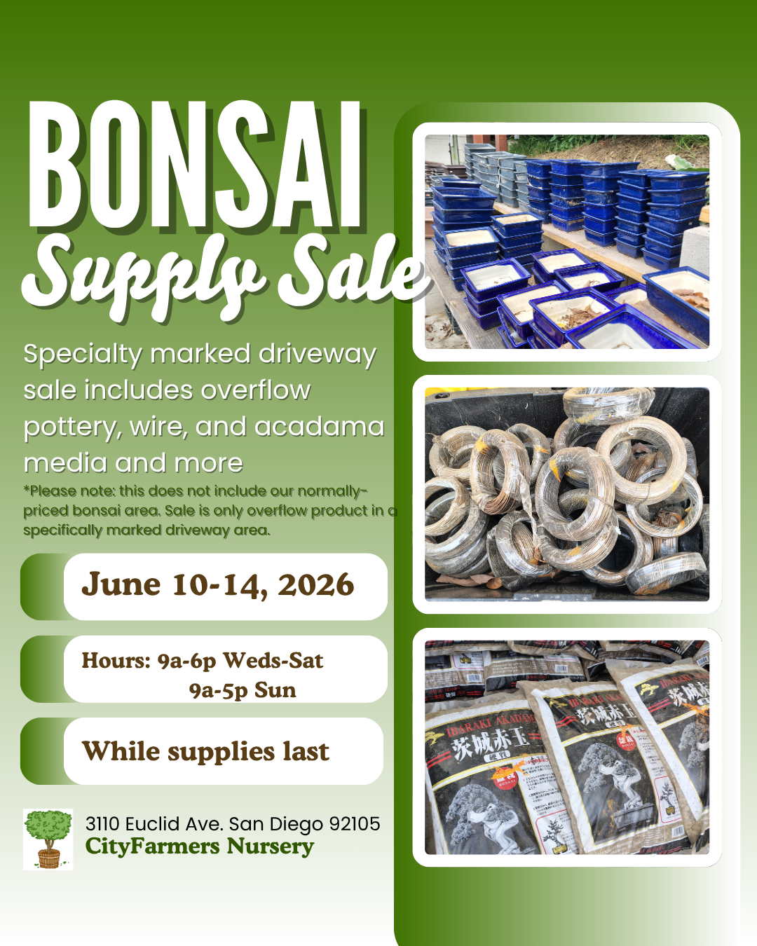 Bonsai Supply: Overflow Sale