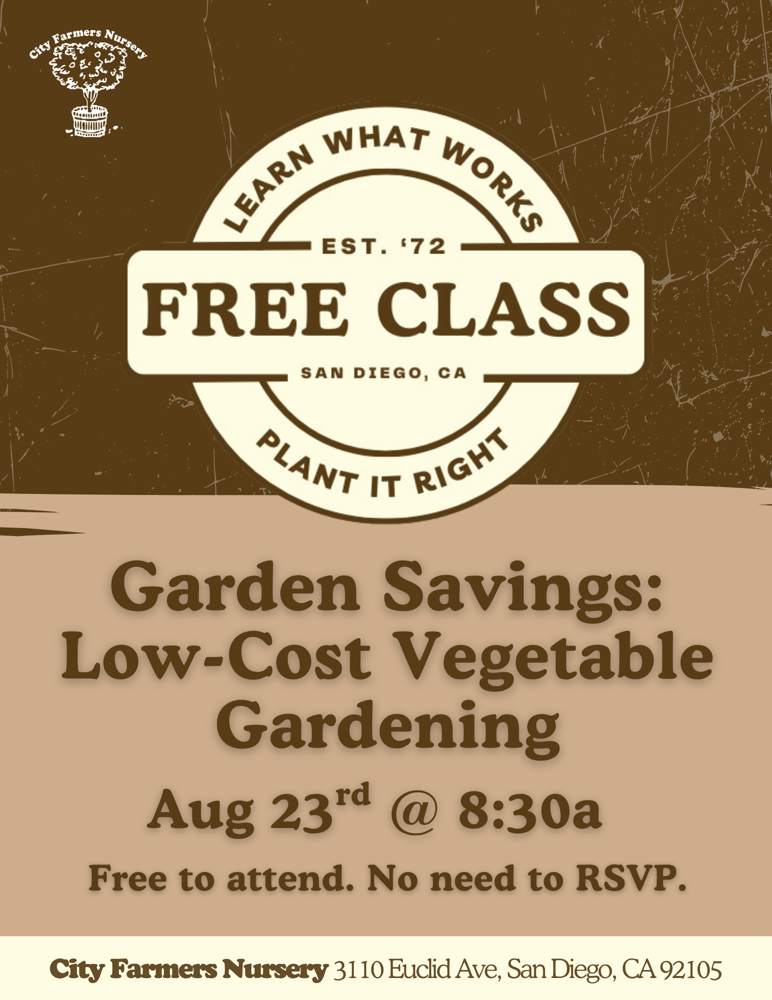Garden Savings: Low-Cost Vegetable Gardening
